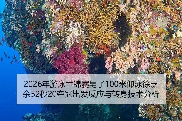 2026年游泳世锦赛男子100米仰泳徐嘉余52秒20夺冠出发反应与转身技术分析